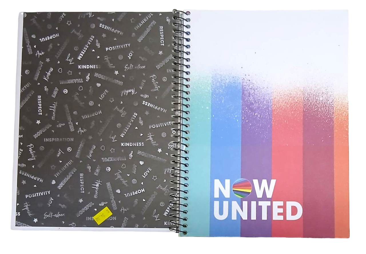 CADERNO C.D. 1X1 NOW UNITED